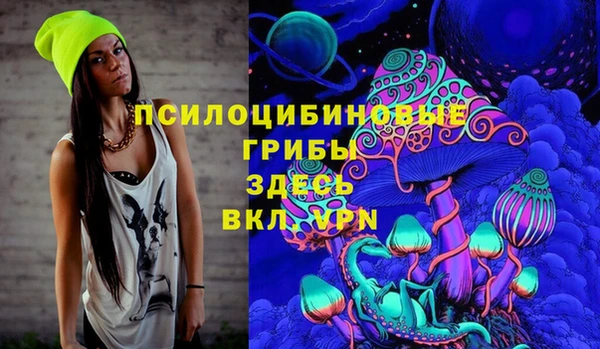 2c-b Волосово
