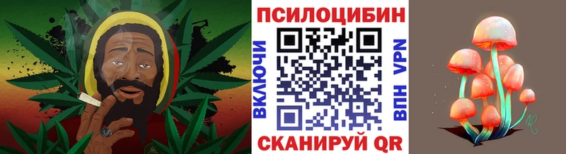 Псилоцибиновые грибы Psilocybine cubensis  Красногорск 